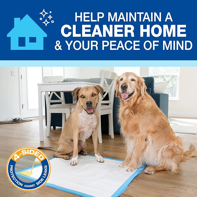 Four Paws Wee-Wee Superior Performance Extra Large Pee Pads for Dogs with Runoff Barrier Edge Guard Protection, Puppy & Dog Potty Training Pads, Housebreaking Supplies, 28" x 34" (75 Count)