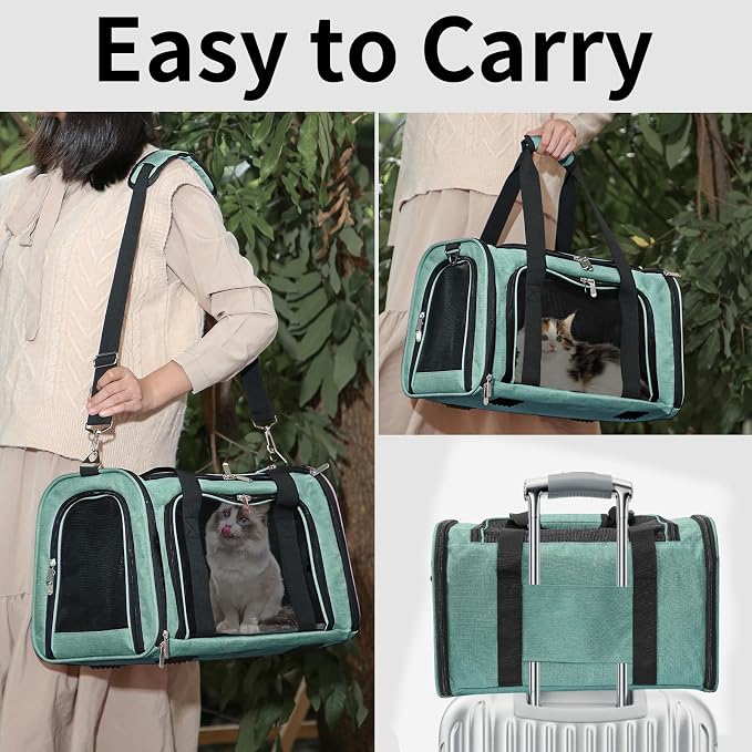 Soft-Sided Cat/Dog/Pet Carrier, Collapsible Pets Travel Carriers for Big Cats/Small Dogs with Shoulder Strap & Removable Mat, Mesh Puppy Carry Bag, Up to 16 Lbs, TSA Airline Approved(Turquoise)