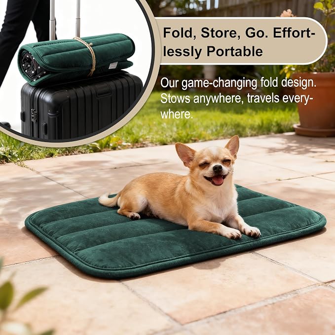 pobopobo Dog Crate Pad, Ultra Soft & Anti-Slip Kennel Mat, Secure Fit for Metal Crates & Dog Cages, Washable Cozy Bed for Small Medium Large Dogs (Green, S(23"*14"*1.5"))