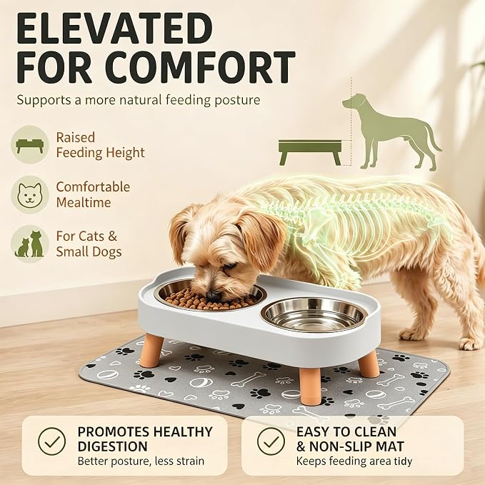 Elevated Dog Bowls with Mat, 2 Stainless Steel for Small Dogs Under 25 Lb | Raised Bowl Stand, Food & Water Set for Cats & Puppies, Splash Proof, Dishwasher Safe, Stain-Resistant Quick-Dry Mat