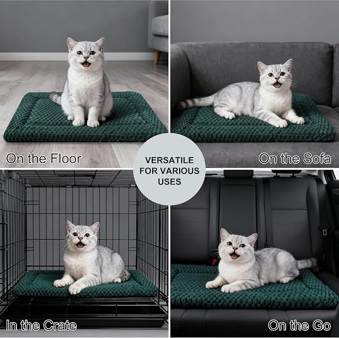 Dog Bed Mat - Dog Crate Pad - Reversible Mat for Pet Comfort - Soft Bed Crate Pads for All Seasons - Durable, Machine Washable Mat for Crates, Travel, and Home (Dark Green, 18" L*14" W*1.5" Th)