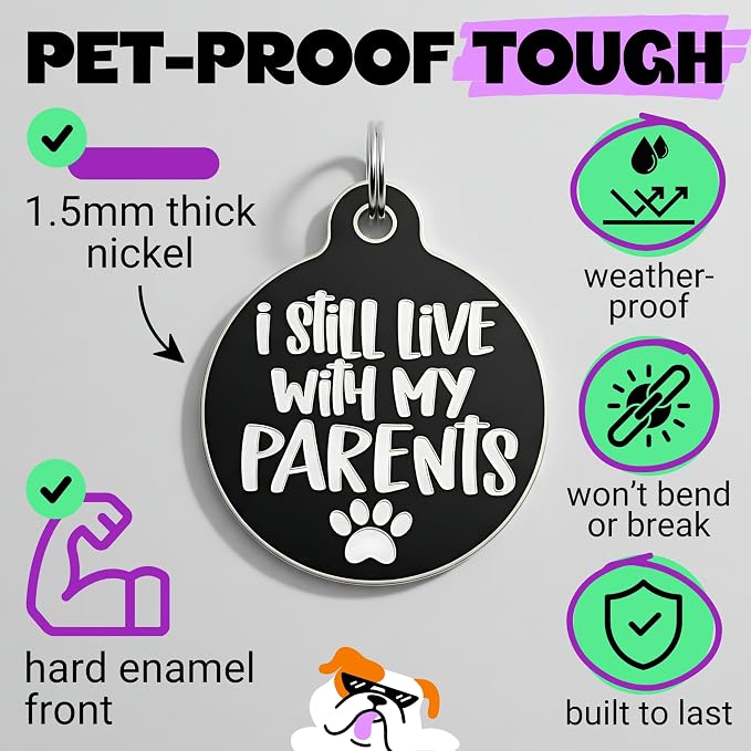 Bad Tags Personalized Dog and Cat ID Tags in 25+ Designs and 2 Sizes - 5 Lines of Custom Engraved Text - Funny Cute Personalized Pet Tags (I Still Live with My Parents, Large (1.25 inch))