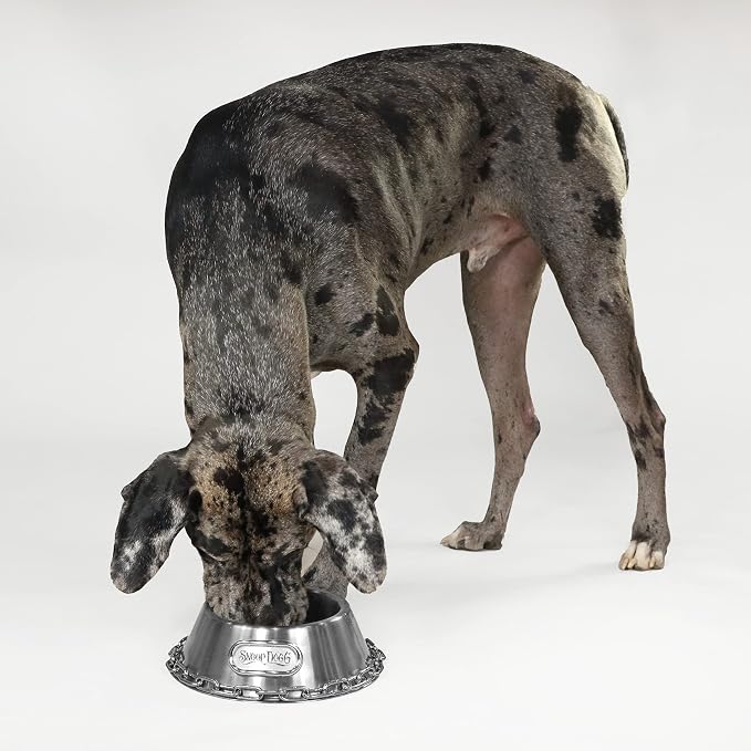 Snoop Doggie Doggs Off The Chain Deluxe Pet Bowl