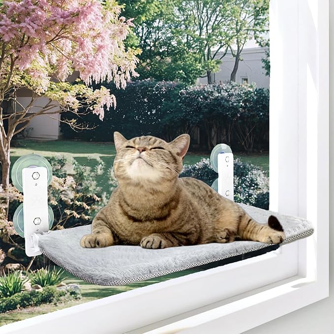 Cat Window Perch, Cordless Foldable Cat Hammock for Indoor Cats with Upgraded Suction Cups Strong Metal Frame Holds Up to 44lbs (M 1PC)