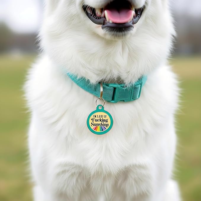 Bad Tags Personalized Dog and Cat ID Tags in 25+ Designs and 2 Sizes - 5 Lines of Custom Engraved Text - Funny Cute Personalized Pet Tags (I'm A Ray of F*cking Sunshine - Teal, Large (1.25 inch))