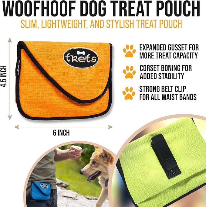 Dog Treat Pouch, Orange Training Treat Pouch - Clip On Dog Treat Holder, Innovative No Spill Design, Magnetic Flap, Expandable Gusset, Made of Durable Nylon, Machine Washable