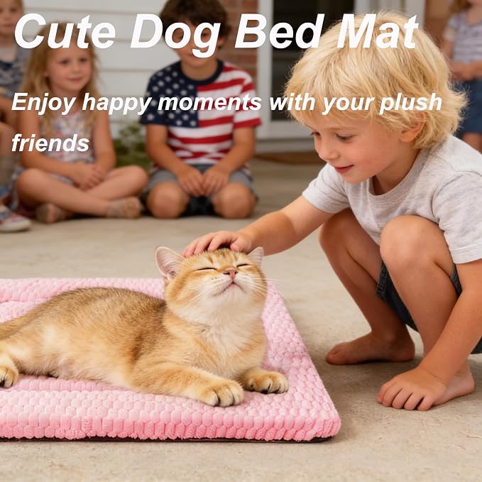 Cat Bed Mat - Durable & Cute Crate Beds for Extra Small Dogs & Cats, Comfortable Kennel Pad for Home, Crate & Travel