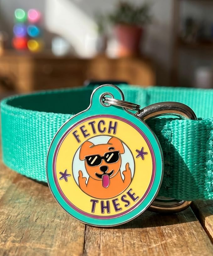 Bad Tags Personalized Dog and Cat ID Tags in 25+ Designs and 2 Sizes - 5 Lines of Custom Engraved Text - Funny Cute Personalized Pet Tags (Fetch These, Small (1 inch))