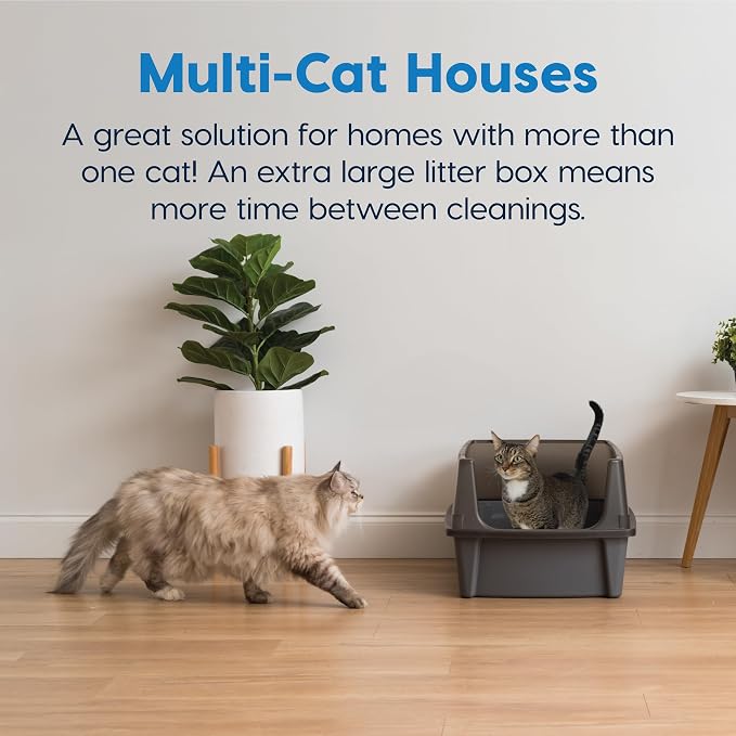 IRIS USA Extra Large Cat Litter Box XXL Open Top High Sided Walls Scatter Shield Scoop Included Easy Clean Plastic Pan for Big Cats Multi-Cat Households 30" L x 20" W x 14" H Gray