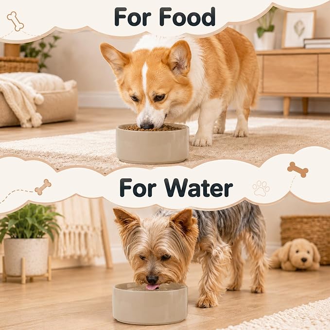 Havniva Ceramic Dog Bowls, Dog Food and Water Bowl Set, Dog Water Bowl | 6.1” Ceramic Dog Food Bowls with Non-Slip Rubber Base, Large Capacity, Double Dog Feeding Bowls for Small and Medium Dogs
