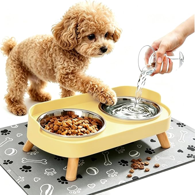 Elevated Dog Bowls with Mat, 2 Stainless Steel for Small Dogs Under 25 Lb | Raised Bowl Stand, Food & Water Set for Cats & Puppies, Splash Proof, Dishwasher Safe, Stain-Resistant Quick-Dry Mat