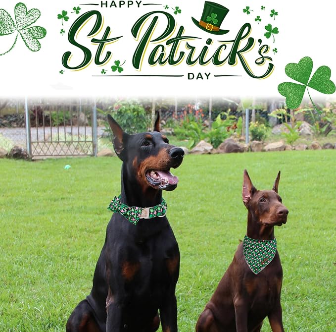 ·MR. CHUBBYFACE· St.Patrick's Pink Green Clover Dog Collar with Bowtie, Cute Clovers Shamrock Metal Buckle Dog Collar, Adjustable Shamrock Pet Collar with for Small Medium Large Dogs