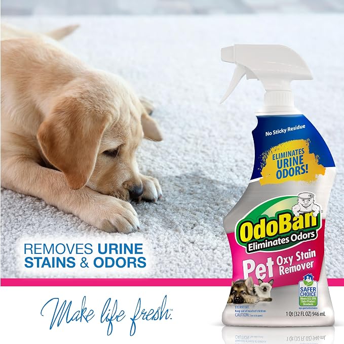 OdoBan Pet Solutions Oxy Stain Remover, Pet Stain Eliminator, Made in the USA, 10-Pack, 32 Ounce Spray Each
