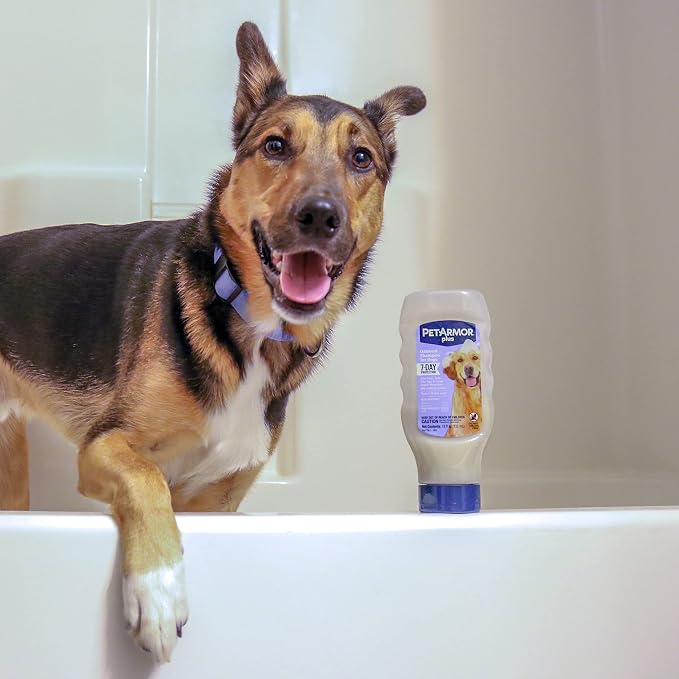 PetArmor Plus Flea & Tick Oatmeal Shampoo Dogs, 7-Day, Tropical, 18oz | Ideal for Dogs with Sensitive Skin; Kills Flea Eggs for 30 Days; not for cats; Tropical Breeze Scent
