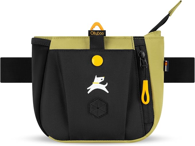 Backcountry Day Bag | Dog Training Treat Pouch | Eco-Friendly Recycled Fabric Fanny Pack with Zipper Closure, Built-in Poop Bag Dispenser & Adjustable Waist Belt (Alchemy)