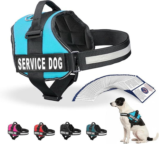 Industrial Puppy Service Dog Vest Harness - Durable & Adjustable Vest for Dog with Reflective Straps, Removable Patches, 50 ADA Cards, Handle & D-Ring, Travel and Daily Use, (Blue, Medium 25"-32")