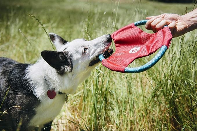 ZippyPaws Rope Gliderz - Durable Outdoor Dog Frisbee Toy, Soft Pet Flying Disc for Beach & Pool, Interactive Frisbee for Fetching, Made of Tough Mountain Climbing Rope - Magenta