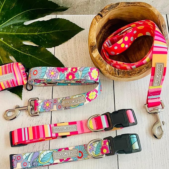 Lucky Love Cute Dog Collar for Girl Dogs - Colorful Stripes, Yellow, Pink, Blue - Large, Molly Collar