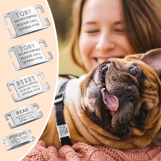 Rugged & Refined: Immovable Slide-On Pet ID Tag - Silent No-Noise Design - Deep Laser Engraved Horology-Grade Steel - Extra Small | PVD Rose Gold