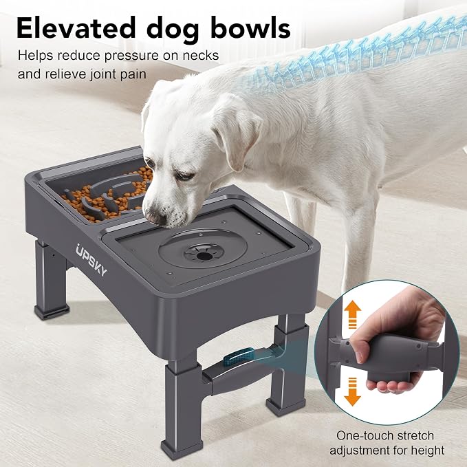 UPSKY 2-in-1 Elevated Dog Bowls Set with 4 Height Adjustable Stand, Gray | No Spill Water Bowl, Slow Food Bowl, No-Splash, Anti-Slip, Dishwasher Safe, Folding Design, Suitable for Small Medium Dogs