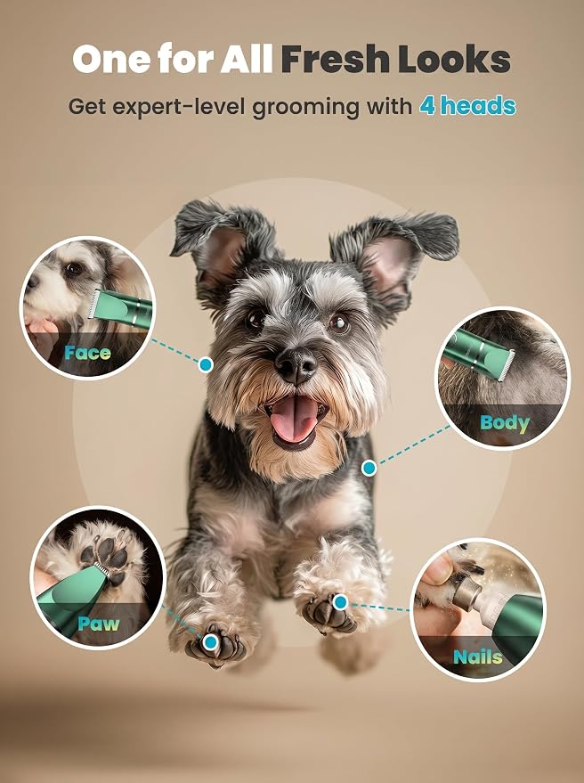 oneisall 4 in 1 Dog Grooming Kit with LCD Display Green | Paw Hair Trimmer & Nail Grinder, Rechargeable, Cordless, Low Noise, IPX7 Waterproof, 3 Speeds Pet Grooming Clippers