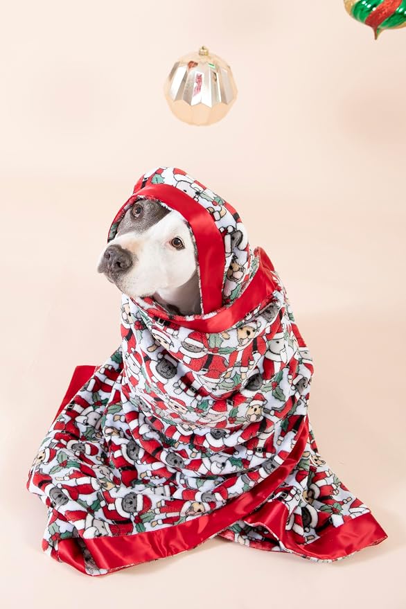 Darren & Phillip Santa Paws Blanket - Ultra-Soft Blankets Made with Plush Fleece - Perfect as a Dog Bed Blanket or for Cuddling with Your Pup - Ultra-Snuggly Blankets for Dogs & Humans