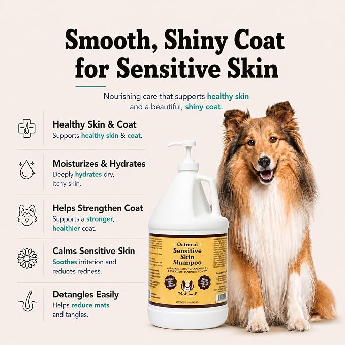 Natural Dog Company Sensitive Skin Dog Shampoo Gallon – Hypoallergenic Oatmeal Shampoo for Dogs, Professional Groomer & Multi-Pet Dog Wash with Aloe Vera & Manuka Honey, Odor Control, 128 oz