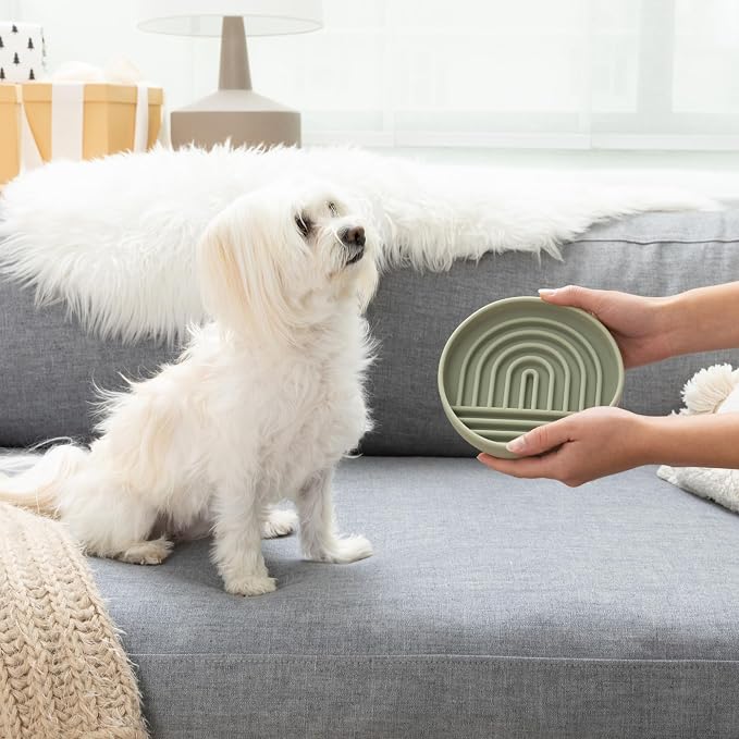 Should We Go? Slow Feeder Dog Bowls - Small Size Silicone Slow Eating Dog Bowl for Puppies & Dogs with Suction Cup -Dishwasher-Safe, Lick Mat Design, Reduces Gulping, for All Breeds, 6”x1.25”- Sage