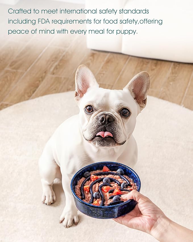 vancasso Slow Feeder Dog Bowl, 0.6 Cup Ceramic Slow Feeding Food Dish for Small Breed, Puzzle Dog Food Bowl for Fast Eater, Blue