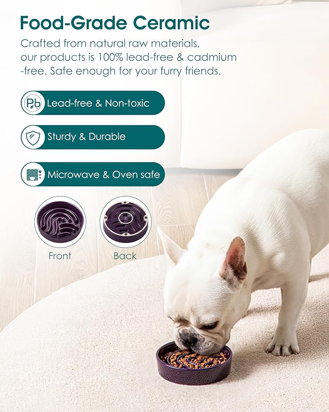 vancasso Slow Feeder Dog Bowl, 0.6 Cup Ceramic Slow Feeding Food Dish for Small Breed, Puzzle Dog Food Bowl for Fast Eater, Dark Purple