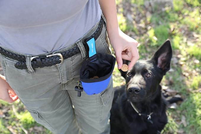 Chuckit! Treat Tote Dog Treat Pouch for Puppy Training, 1 Cup | Convenient Treat Pouch for Puppy Training With 1 Cup Capacity, Available in Assorted Colors for On-the-Go Rewards