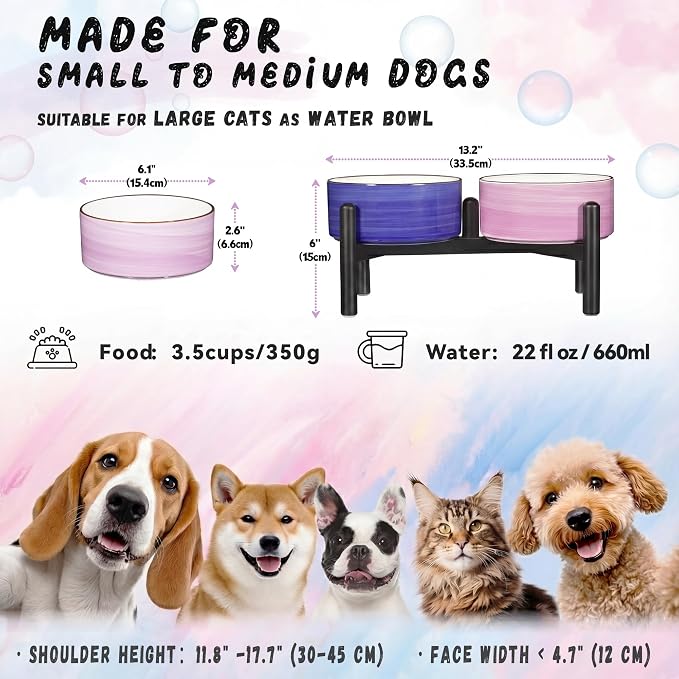 Ceramic Elevated Dog Bowl Set, 6.1''Raised Dog Food and Water Bowl Set with Non-Slip Stainless Steel Stand, Double Raised Dish for Small and Medium Breed, 3.5 Cups / 22 Fl Oz,Classic Pastels