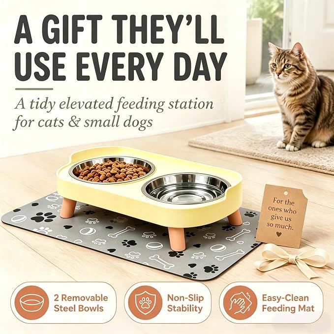Elevated Dog Bowls with Mat, 2 Stainless Steel for Small Dogs Under 25 Lb | Raised Bowl Stand, Food & Water Set for Cats & Puppies, Splash Proof, Dishwasher Safe, Stain-Resistant Quick-Dry Mat