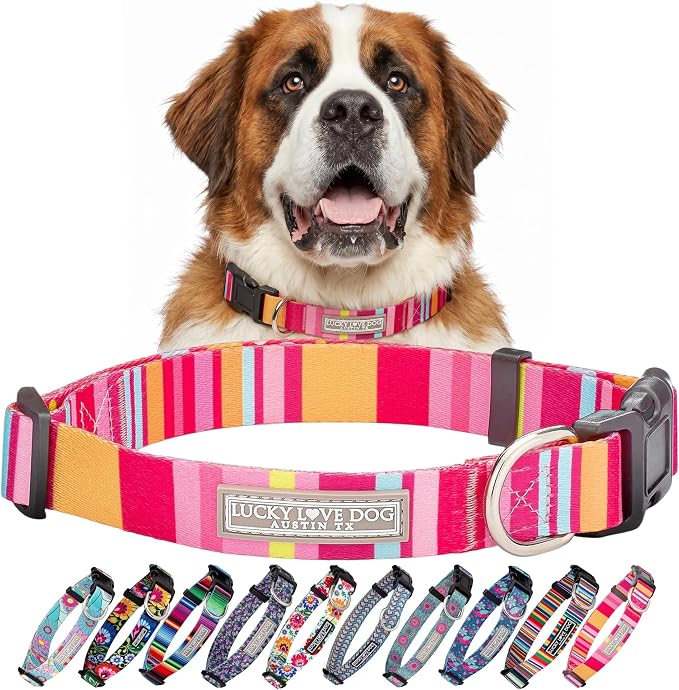 Lucky Love Dog - Adjustable Dog Collar with Easy Click Buckle for Large Ones, Durable, & Comfortable for Male & Female Dogs, Pet Collar for Puppies & Adult Dogs - Molly, XL