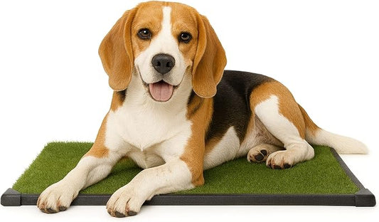 Artificial Grass Puppy Pee Pad for Dogs and Small Pets - 20x25 Inch, Reusable 3-Layer Turf Pads for Dogs with Tray - Indoor and Outdoor Fake Grass Potty Pet Supplies by PETMAKER