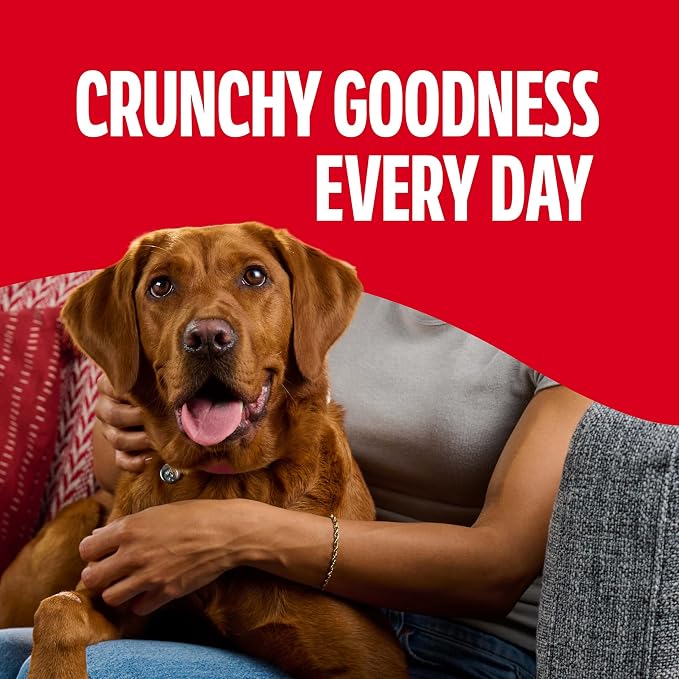 Milk-Bone Flavor Snacks, Large Dog Treats, 24 Oz. | 5 flavors per box (beef, chicken, turkey, bacon & sausage flavors with other natural flavors), made with 15% protein
