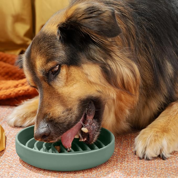 Should We Go? Slow Feeder Dog Bowls - Medium Size Silicone Slow Eating Dog Bowl for Puppies & Dogs with Suction Cup -Dishwasher-Safe, Lick Mat Design, Reduces Gulping,for All Breeds,7.5”x1.5”- Spruce