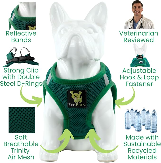 EcoBark Teacup Dog Harness - Toy Breed Dog Harnesses for Tiny Dogs - Luxury Soft Step in Mini Body Halter - Puppy Harness- Dog Vest Under 5 pounds lbs (XXXS, Forest Green)
