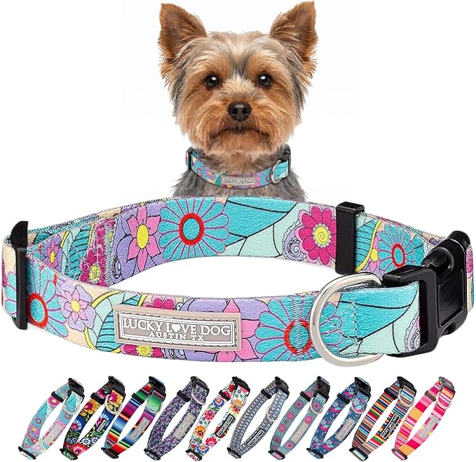 Lucky Love Dog Collars, Cute X-Small Dog Collars for Female Dogs, Part of Purchase Donated to Rescue, Caroline, Extra Small