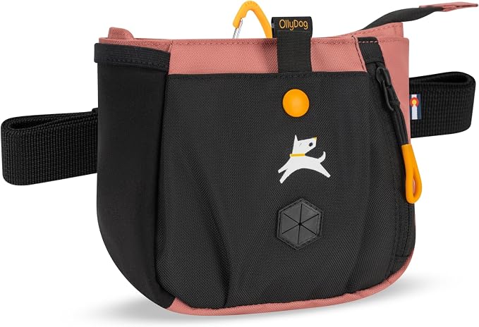 Backcountry Day Bag | Dog Training Treat Pouch | Eco-Friendly Recycled Fabric Fanny Pack with Zipper Closure, Built-in Poop Bag Dispenser & Adjustable Waist Belt (Desert)