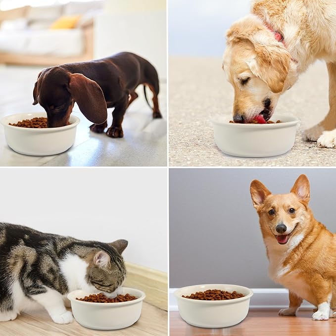 Ceramic Replacement Dog Bowls for Wordcam SS01 Model, 6.9"X2.6", Beige | Food and Water Bowl Set, for Small Medium Cats, Pet Feeding Dishes for Dogs 20-35lbs, Thicker Ceramic, Anti-Skid, 28Oz/800ML