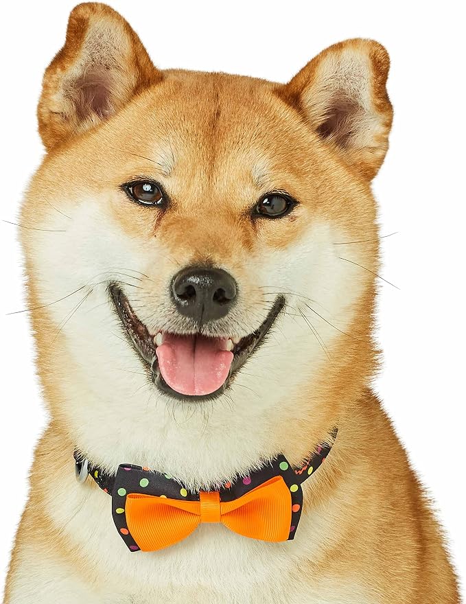 Blueberry Polka Dot Adjustable Dog Collar with Bowtie, Large Neck 18"-26", Perfect Halloween Collar
