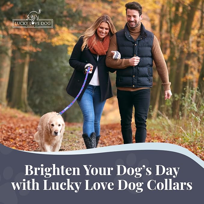 Lucky Love Dog - Adjustable Dog Collar with Easy Click Buckle for Small Dogs, Durable, & Comfortable Collar for Male & Female Dogs, Pet Collar for Puppies & Adult Dogs - Zuzu, Small