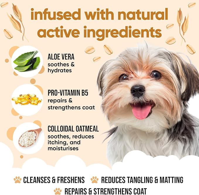 Buddycare Oatmeal Dog Shampoo for Smelly Dogs (33.8oz) - Hypoallergenic & Itch Relief Formula, Gentle on Sensitive Skin, Includes Dog Shampoo and Conditioner - Essential Dog Grooming Supplies