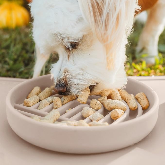 Should We Go? Slow Feeder Dog Bowls - Small Size Silicone Slow Eating Dog Bowl for Puppies & Dogs with Suction Cup -Dishwasher-Safe, Lick Mat Design, Reduces Gulping, for All Breeds, 6”x1.25”- Tan