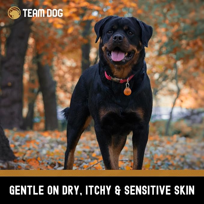 TEAM DOG 5 in 1 Oatmeal Shampoo for Dogs | Moisturizing, Detangling & Deodorizing Dog Shampoo and Conditioner | for Allergies & Sensitive Skin | Plant-Based Blend with Natural Ingredients | 16 Fl Oz