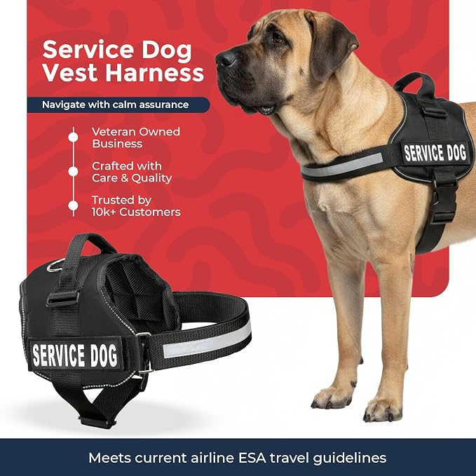 Industrial Puppy Service Dog Vest Harness - Durable & Adjustable Vest for Dog with Reflective Straps, Removable Patches, 50 ADA Cards, Handle & D-Ring, Travel and Daily Use, (Black, XL 30"-39")