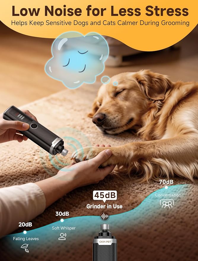 Dog Nail Grinder, Quiet Electric Dog Nail Trimmer with 2 LED Lights, 3-Speed Pet Nail Grinder for Dogs & Cats, Rechargeable 2000mAh Nail Grinder for Small Medium Large Dogs with Light, Black