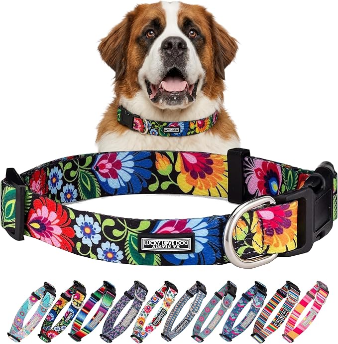 Lucky Love Dog - Adjustable Dog Collar with Easy Click Buckle for Large Ones, Durable, & Comfortable for Male & Female Dogs, Pet Collar for Puppies & Adult Dogs - Blackbird, Extra Large