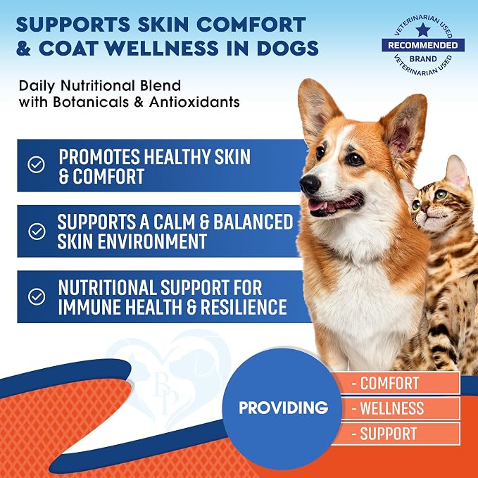 Natural Cats & Dogs Yeast Infection Anti Itch Treatment - Itchy Ears, Skin & Allergy Symptoms Relief - Reduces Inflammation & Relieves Irritation - Herbal Medicine Supplement (2 Pack (60 ml + 60 ml))